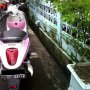 Jual Cepat Honda Scoopy Tahun 2011 bulan Maret warna White & pink