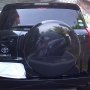 Toyota RAV4 2008 HITAM CBU