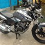 Jual Nyantai Tiger Juli 2011