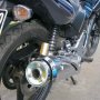 Jual Nyantai Tiger Juli 2011