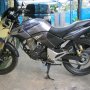 Jual Nyantai Tiger Juli 2011