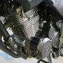 Jual Nyantai Tiger Juli 2011