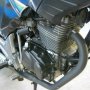 Jual Nyantai Tiger Juli 2011