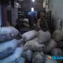 jual arang batok kelapa asalan murah Rp3600kg hub 087733799191