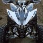 atv yamaha raptor 250cc