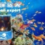 Lampu Projector Unik Motif Laut Ocean Expert