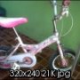 Jual Sepeda Wimcycle Strawberry