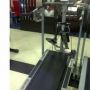treadmill manual 4 fungsi murah