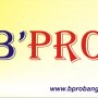 CV BPRO Agent  Property Bangka Belitung