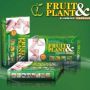 PROMO AKHIR TAHUN 2012 BELI 24 KOTAK Rp.95.000, - | PELANGSING FRUIT PLANT USA 085249935888