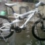 Jual Sepeda Wimcycle Boxer 4.0 Murah