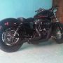 Harley Davidson Sportster Forty eight