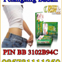 pelangsing badan fruit plant slimming herbal 081385507596