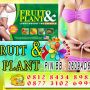 PUSAT PELANGSING HERBAL FRUIT PLANT | 085249935888 BALI TIMIKA PAPUA SEMARANG ACEH
