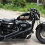 HARLEY DAVIDSON 48 2012