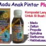 Madu Anak Pintar Plus