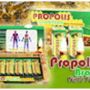 propolis termurah