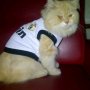 Jual Baju kucing bola