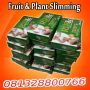 Fruit Plant Obat Pelangsing Herbal Alami 081328800766