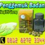 Obat Penggemuk Badan Kianpi Pil Ginseng