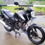 JUAL HONDA TIGER 2008 HITAM ORIGINAL TERAWAT