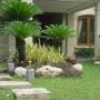 Tukang Taman Jakarta Selatan Rumput  Taman Dan Tanaman Hias
