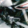 Jual Macan Silver 2001 Mantraps