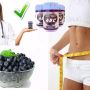 pelangsing badan acai berry hub 081318387771