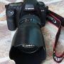 canon eos 5d mark ii camera body kit 24-105mm lens