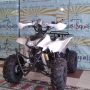 ATV SPORT 110cc RING 8