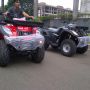 BeeHappy Motor ATV JS_250cc