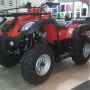 BeeHappy Motor ATV JS_250cc