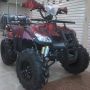 BeeHappy Motor ATV 110cc RING 8 TYPE INKA