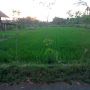 Tanah 1,2 hektar di jalan palagan KM 11 Sleman Yogyakarta