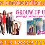 PENINGGI BADAN SUPER HERBAL GROW UP USA CALL 081318031115 PIN BB 2A53E2BB