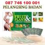 OBAT PELANGSING BADAN | PELANGSING FRUIT PLANT 087 746 100 001