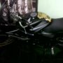 Jual minerva cbr 150r 2009