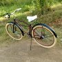 Jual sepeda Beach cruiser 