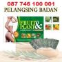 OBAT PELANGSING BADAN | PELANGSING FRUIT PLANT 081 326 246 462