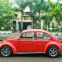 Jual VW Kodok Ex Contest