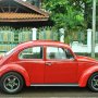 Jual VW Kodok Ex Contest