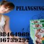 FRUIT & PLANT HERBAL PELANGSING BADAN TERDAHSYAT 087838464969 BB 260F7913