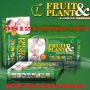 FRUIT PLANT PELANGSING BADAN HERBAL BB 224B486A