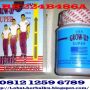 GROW UP ORIGINAL USA PENINGGI BADAN HERBAL