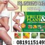 RUIT PLANT PELANGSING BADAN - PELANGSING BADAN ALAMI