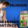 OBAT PELANGSING BADAN HERBAL P57 HOODIA 082136739292 PIN BB 260F7913