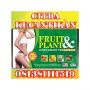 FRUIT&amp;PLANT ASLI HERBAL ALAMI&amp; BUAH SEGAR CEPAT SLIM