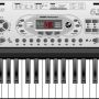 Music Keyboard Instrument (MS010) - Ch