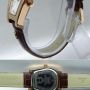AIGNER Varese A15600 Leather (BRW) For Ladies