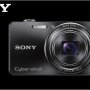 Jual Kamera digital SONY DSC-WX100 Black